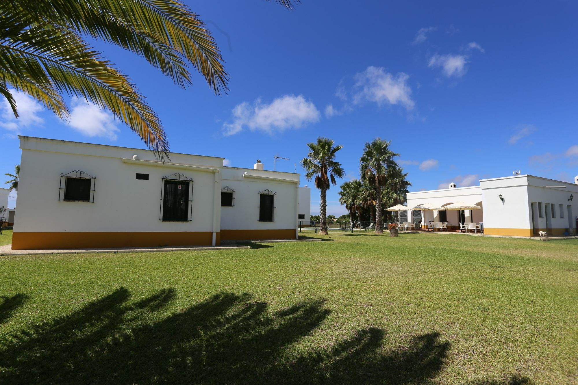Bed and Breakfast El Celemin De Conil à Conil De La Frontera Extérieur photo
